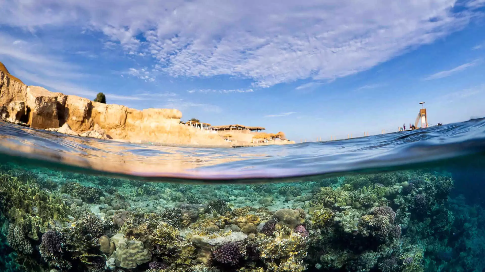 Viajes de Buceo en el Mar Rojo